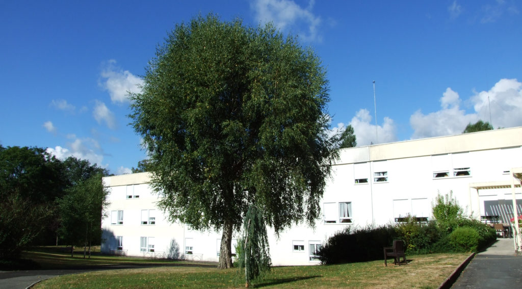 Etablissement Ehpad Les Roches